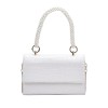 Pearl Chain Bag Pearl Chain Bag